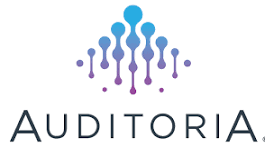 Auditoria.AI
